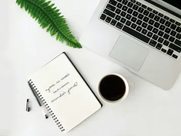 Анализ типового устава ООО