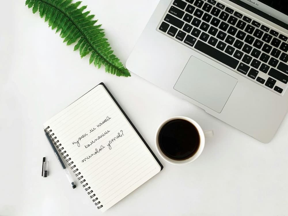 Анализ типового устава ООО